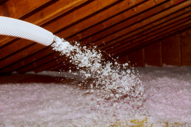 Best Commercial Insulation in Beebe, AR